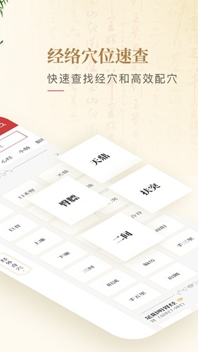 人体穴位图解安卓版图2