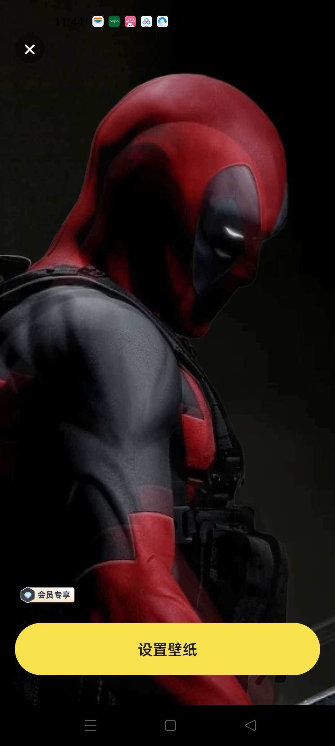 皮皮动态壁纸免费 图3