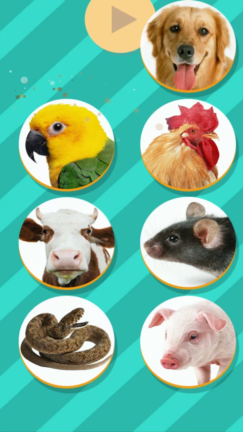 Pet Translator宠物对话翻译器图4