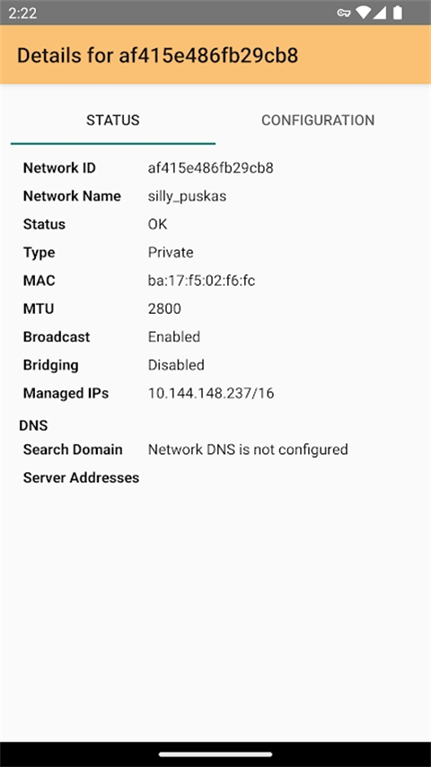 Zerotier One手机版图4
