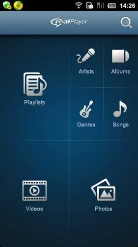 realplay播放器手机版