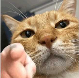 墨白影视 2025 V2023