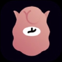 羊驼爱唱歌安装 