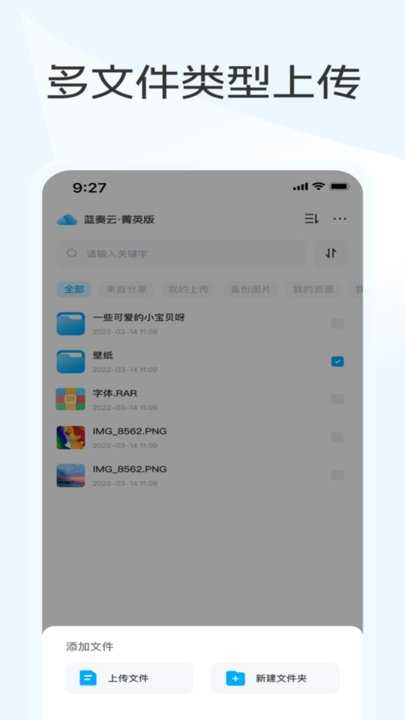 蓝奏云优享版图1