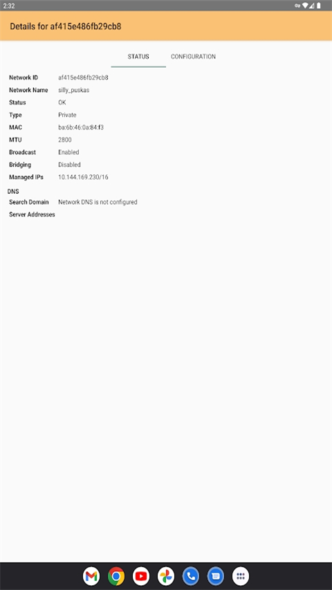 Zerotier One手机版图1