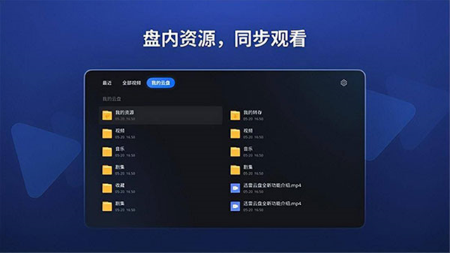 迅雷云盘tv版截图2