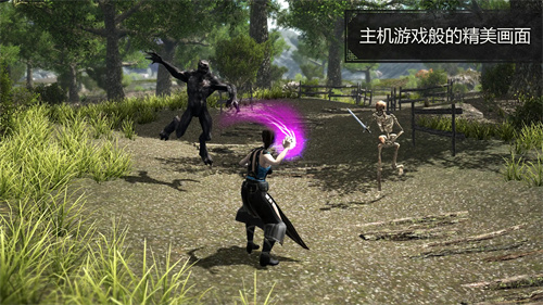 邪恶之地 Evil Lands