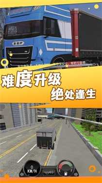 卡车驾驭运输大师(1)