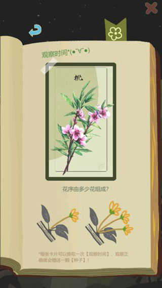 老农种树正版图3