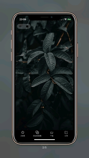 纸塘壁纸手机版图1