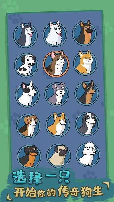 狗生模拟器230