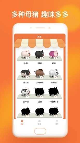 一起来养猪赚钱版图5