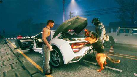 边境警察模拟器3