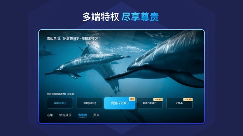 百度网盘车机版图2