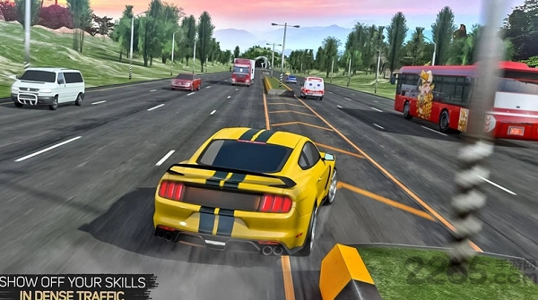 无止境赛车 Racing Ferocity(1)