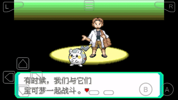 精灵宝可梦究极绿宝石(1)