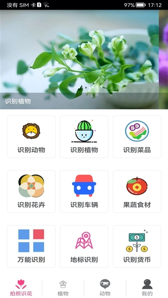 拍照识花神器(5)