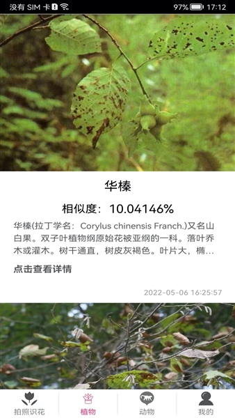 拍照识花神器(4)