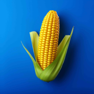 农场之地  v3.20.0