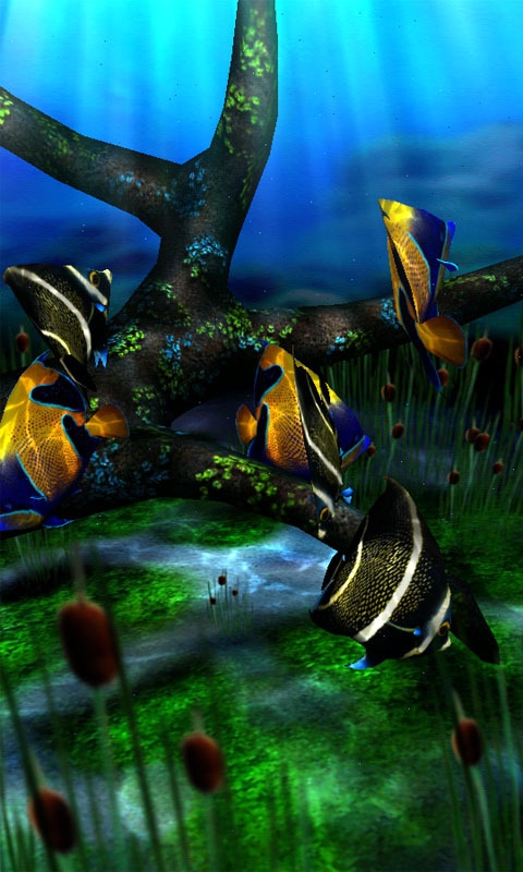 水族馆动态壁纸桌面屏保安卓 图2