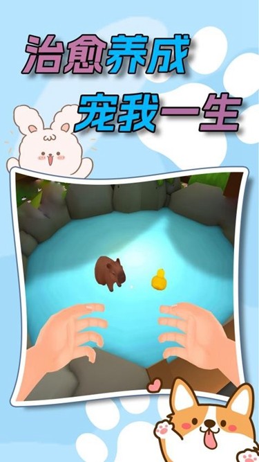 水下家园(1)