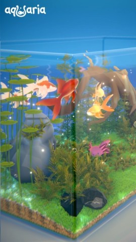 阿奎里亚游戏图3