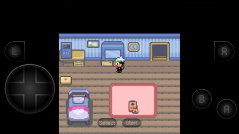 口袋妖怪空之花神图3