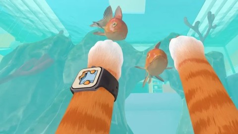 奶奶的贴心小猫图1