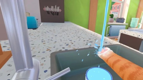 奶奶的贴心小猫图2