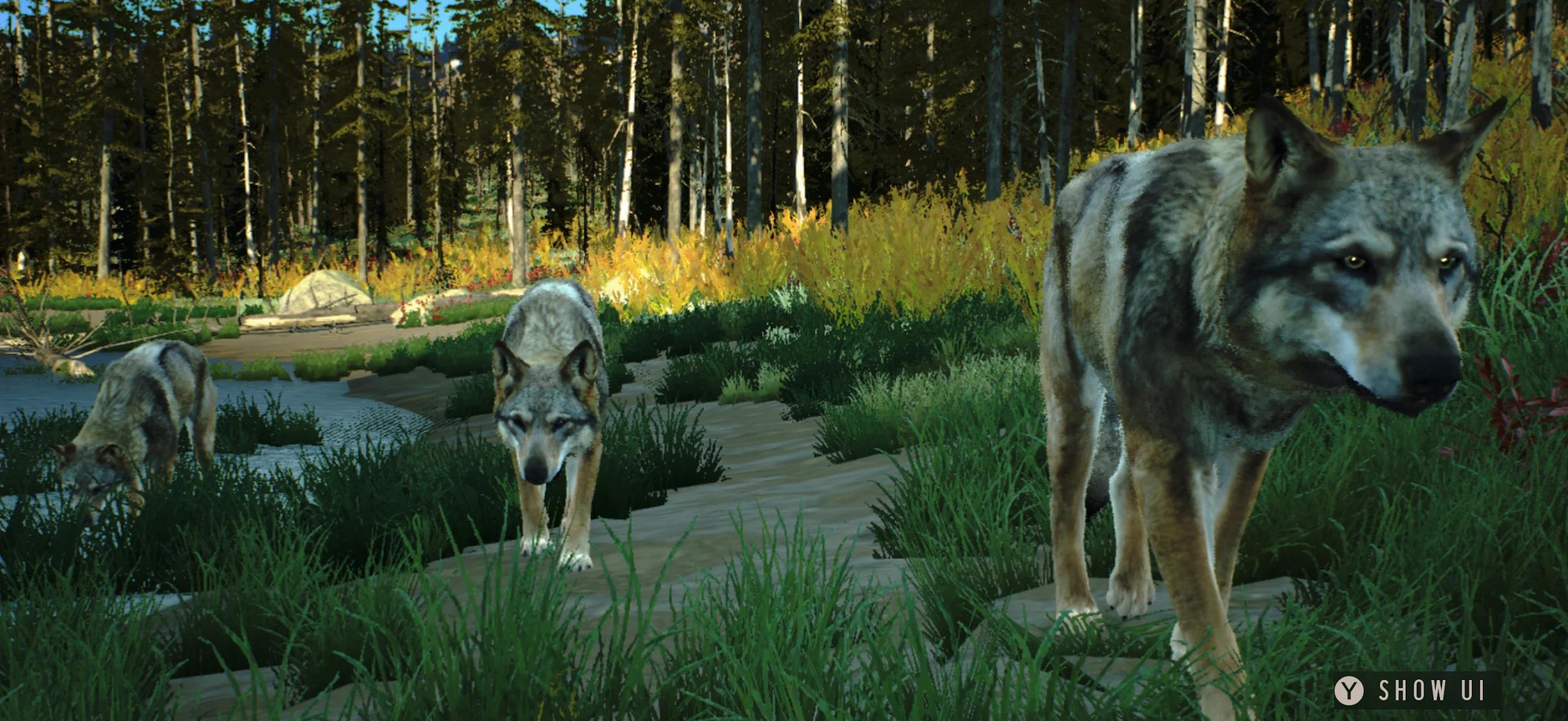 猎人之道狂野美洲3