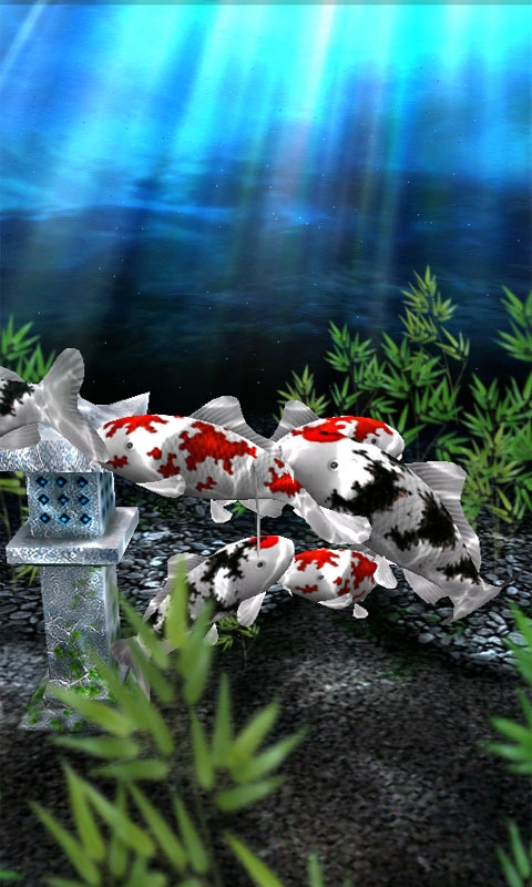 水族馆动态壁纸桌面屏保安卓 图1