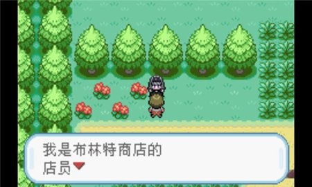 口袋妖怪火红移植版图1