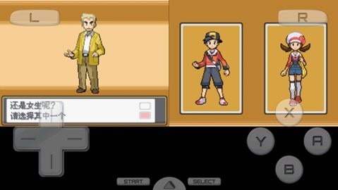 口袋妖怪心金手机版截图2