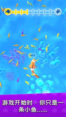 迷你人类进化图2