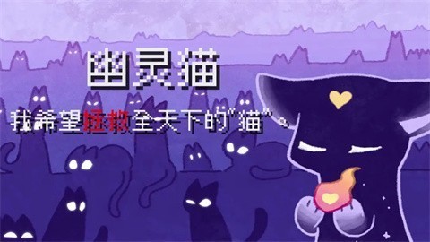对人类过敏的猫图2