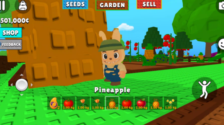 拉布布的种植花园