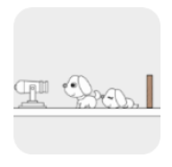 别碰小狗-千万不要杀小白