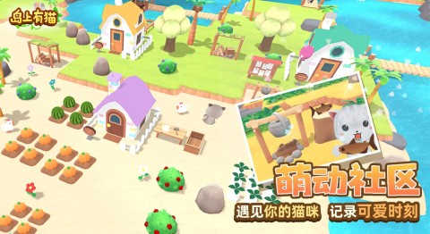 岛上有猫-图2
