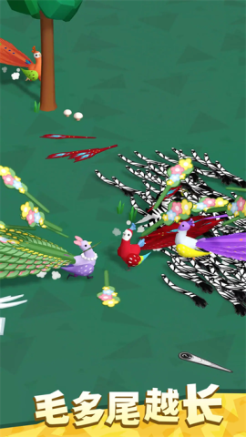 孔雀拔毛大赛图1