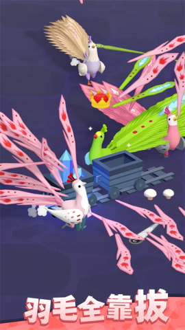 孔雀拔毛大赛图3