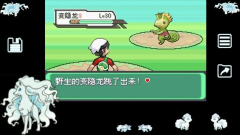 口袋妖怪究极绿宝石(4)