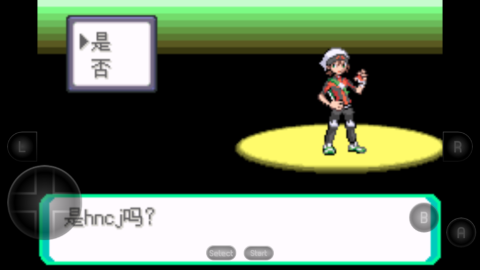 口袋妖怪究极绿宝石(3)