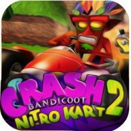Bandicoot Nitro Kart2