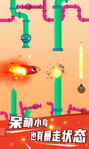 疯狂的小鸟图1