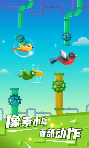 疯狂的小鸟图2