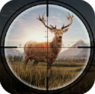 瘋狂神射手正版