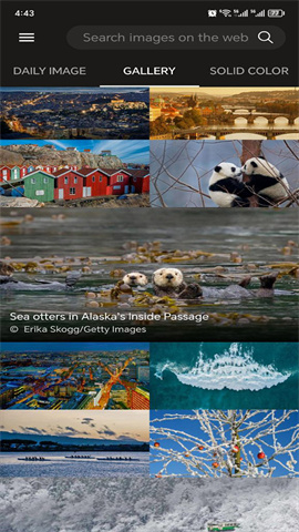 Bing Wallpaper截图4