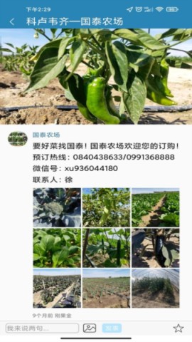 海外手机充值-图2