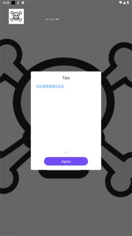 骷髅头直装-图1
