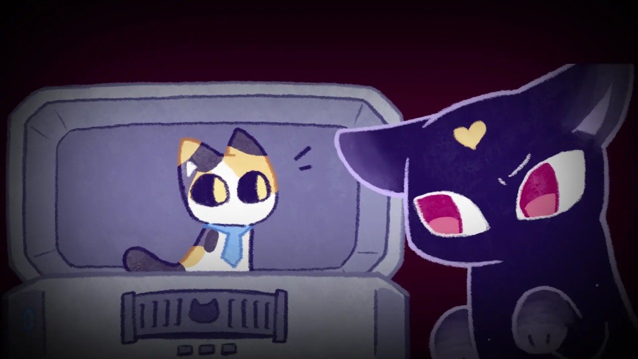 对人类过敏的猫(3)